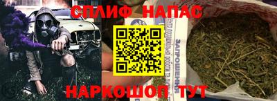 стафф Краснознаменск