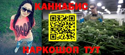 стафф Краснознаменск