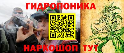 стафф Краснознаменск
