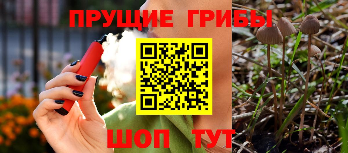 Псилоцибиновые грибы мицелий  Галлюциногенные грибы Psilocybine cubensis  Вход с VPN  Котельники 